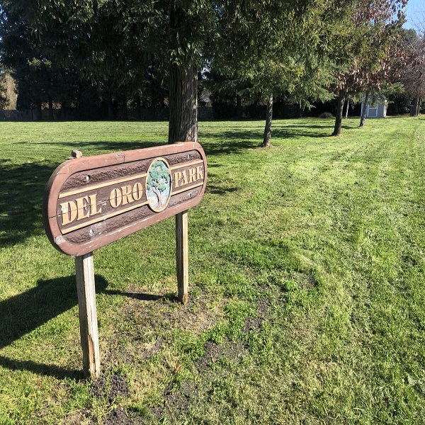 del oro sign