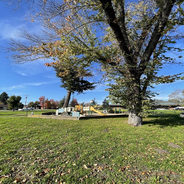 kenilworth playground