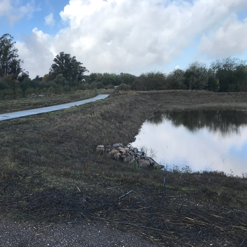 Photo Credit: Petaluma Wetlands Alliance Denman Reach
