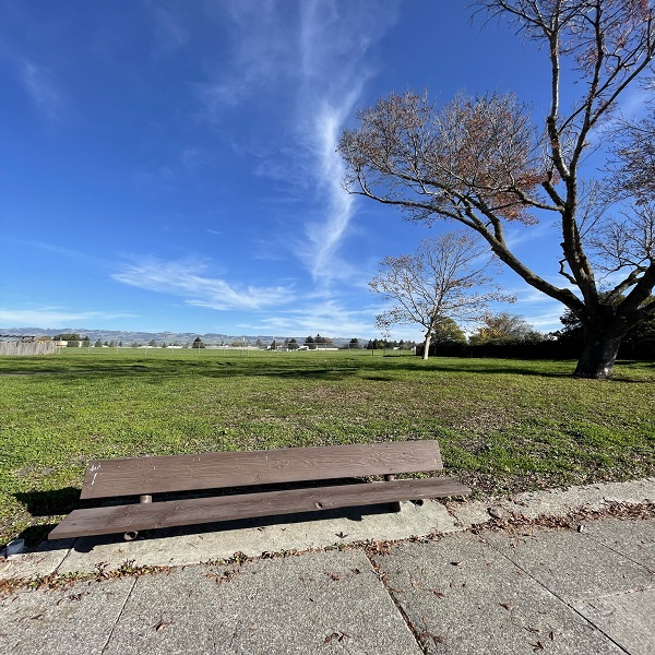 crinella bench at park
