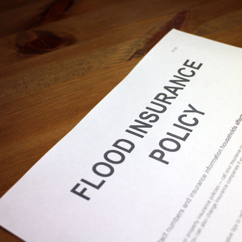 flood insurance policy