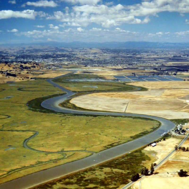 petaluma river 1200×1200 Petaluma River