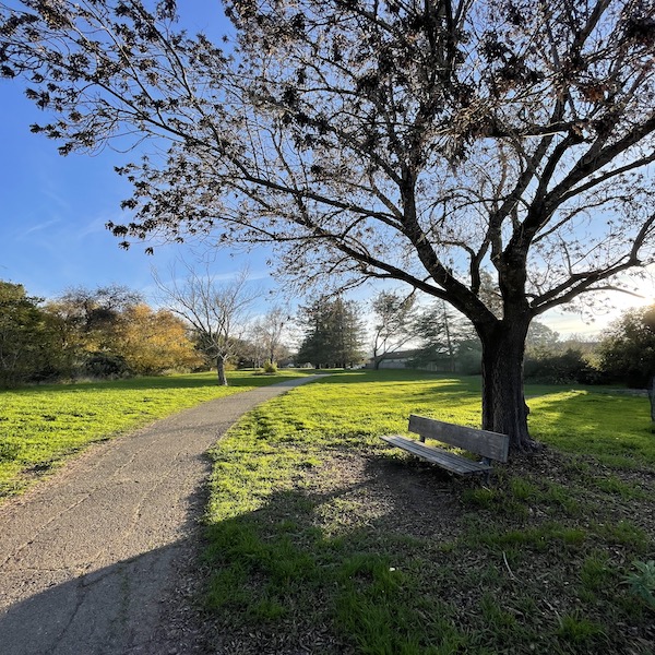 westridge bench