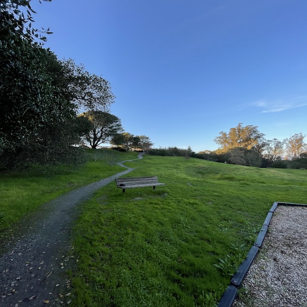 mannion knoll bench