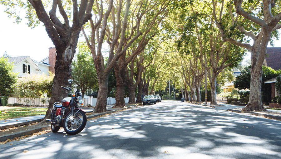 vehicles parked on street