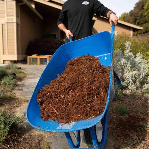 Wheel barrow full of mulch