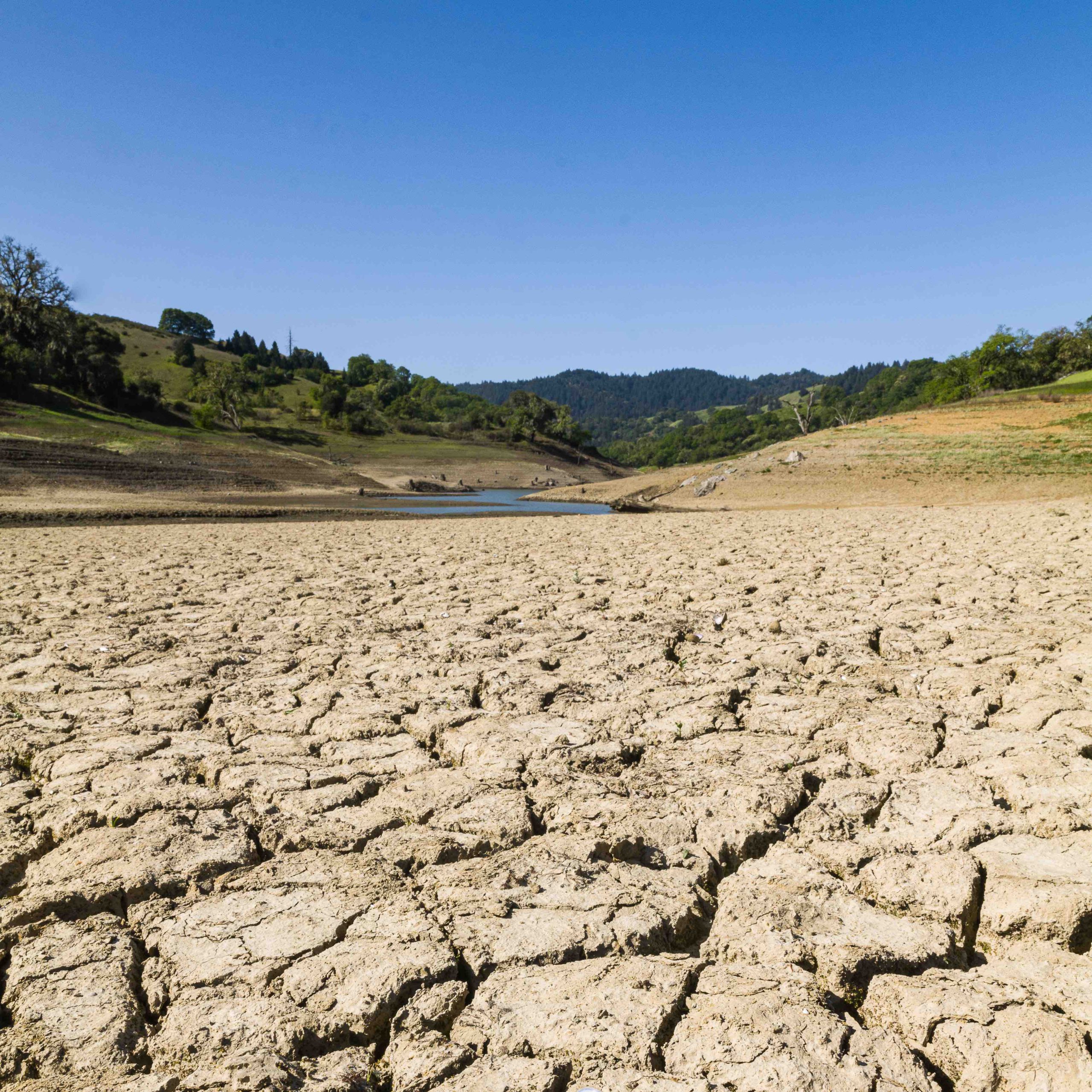 Dry Lake Bed at Lake Sonoma