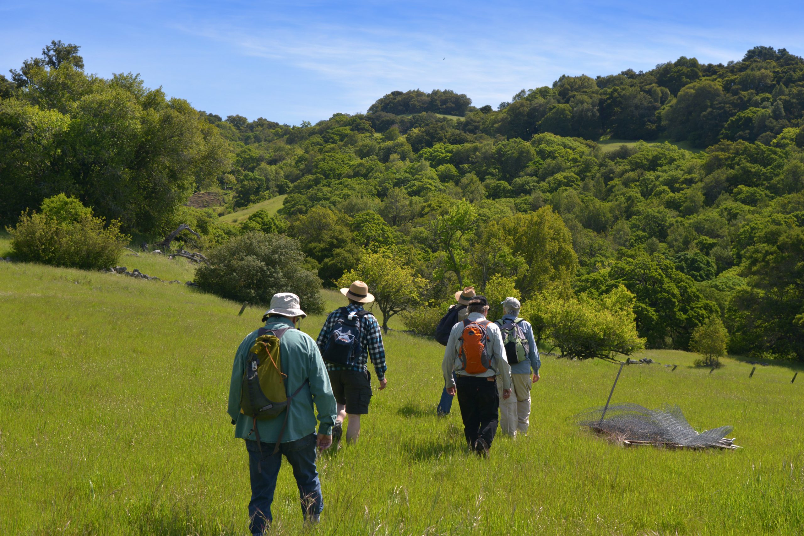 Lafferty Ranch Hike PC Scott Hess