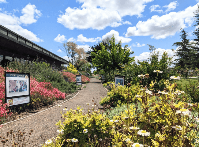 Rain Garden 10 19