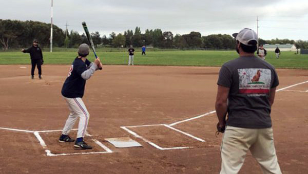 adult softball league