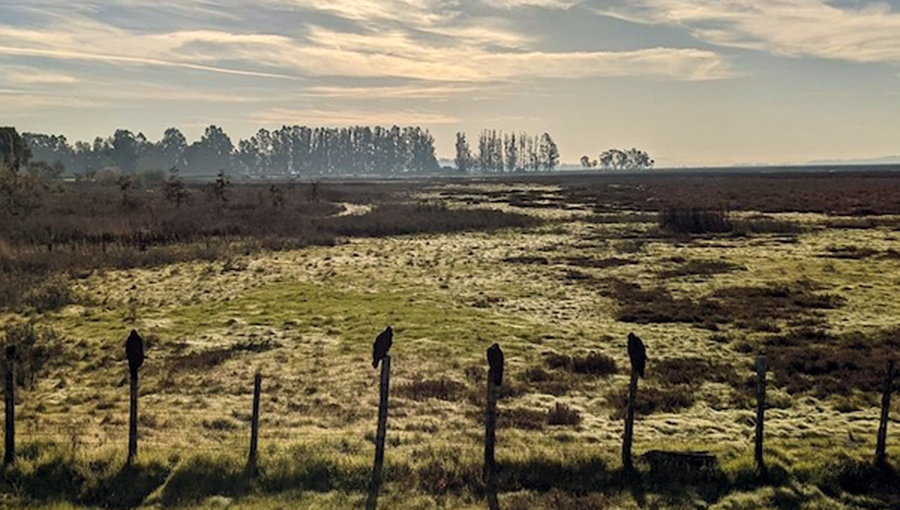 picture of shollenberger park