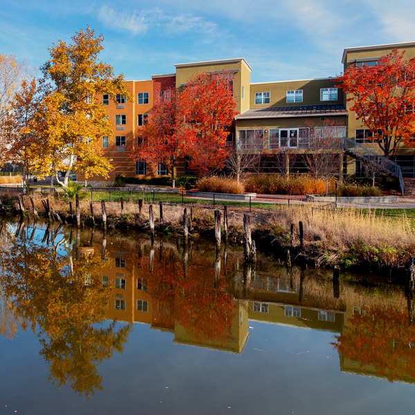 petaluma in the fall