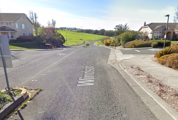 Picture of Windsor Drive road and a few houses on the side of the street