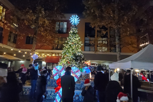 Theater Square Tree Lighting - Petaluma