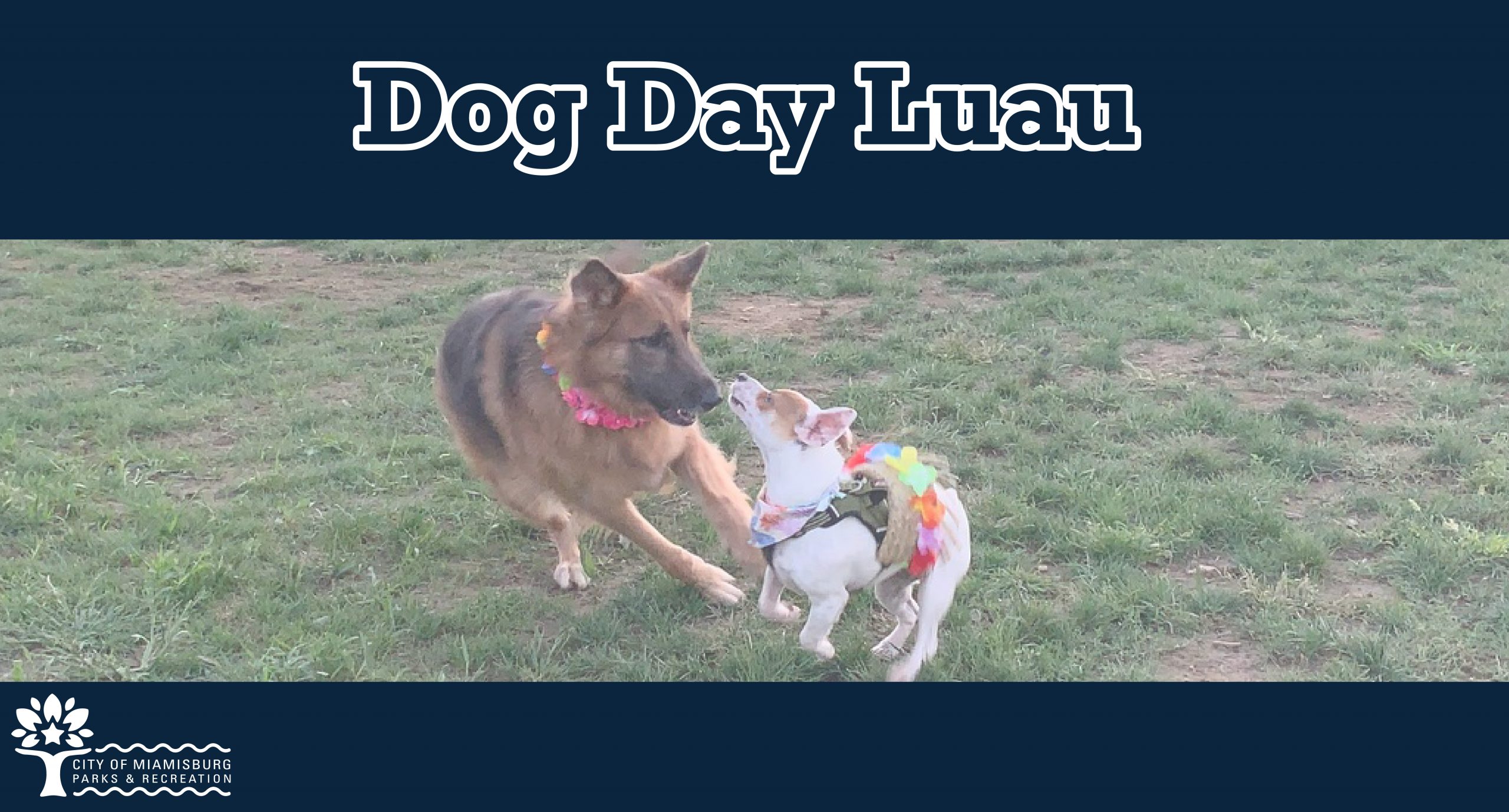 National Dog Day Luau Miamisburg Parks and Recreation