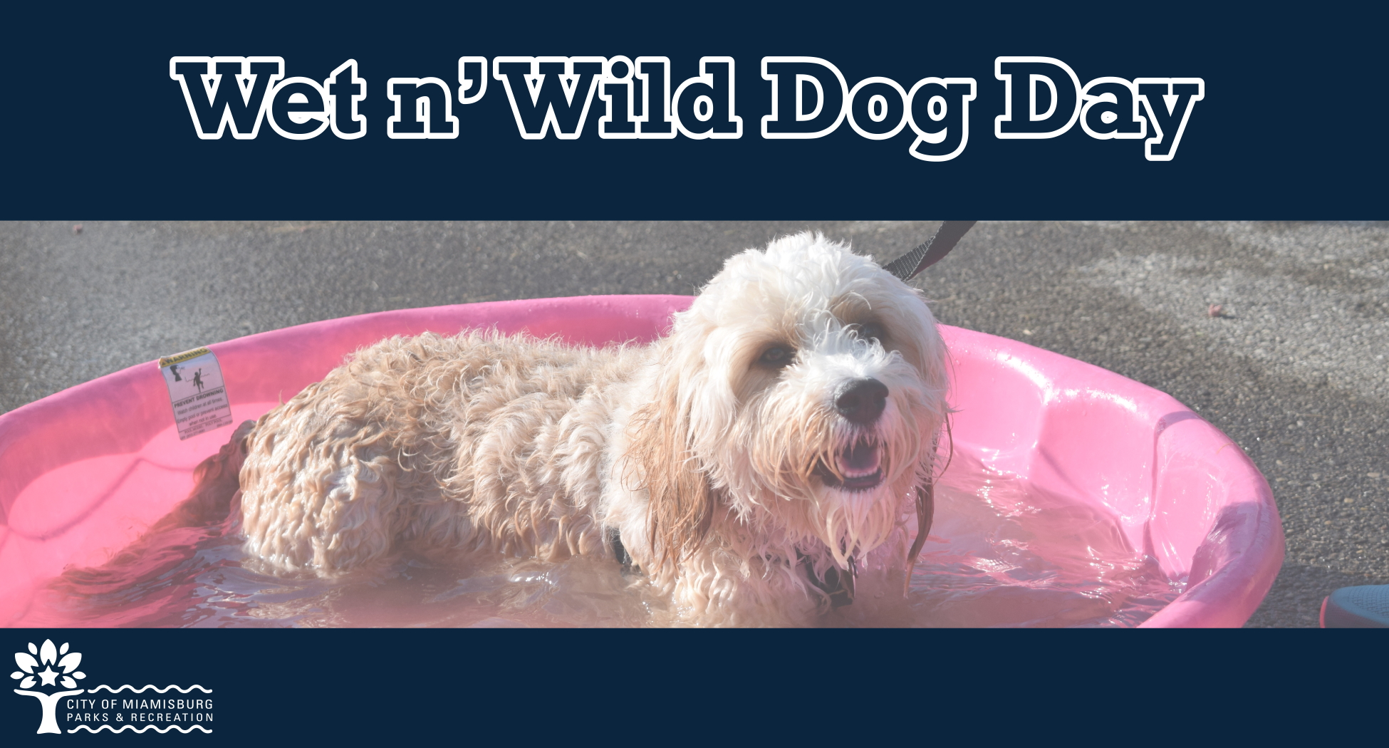 wet n wild dog day