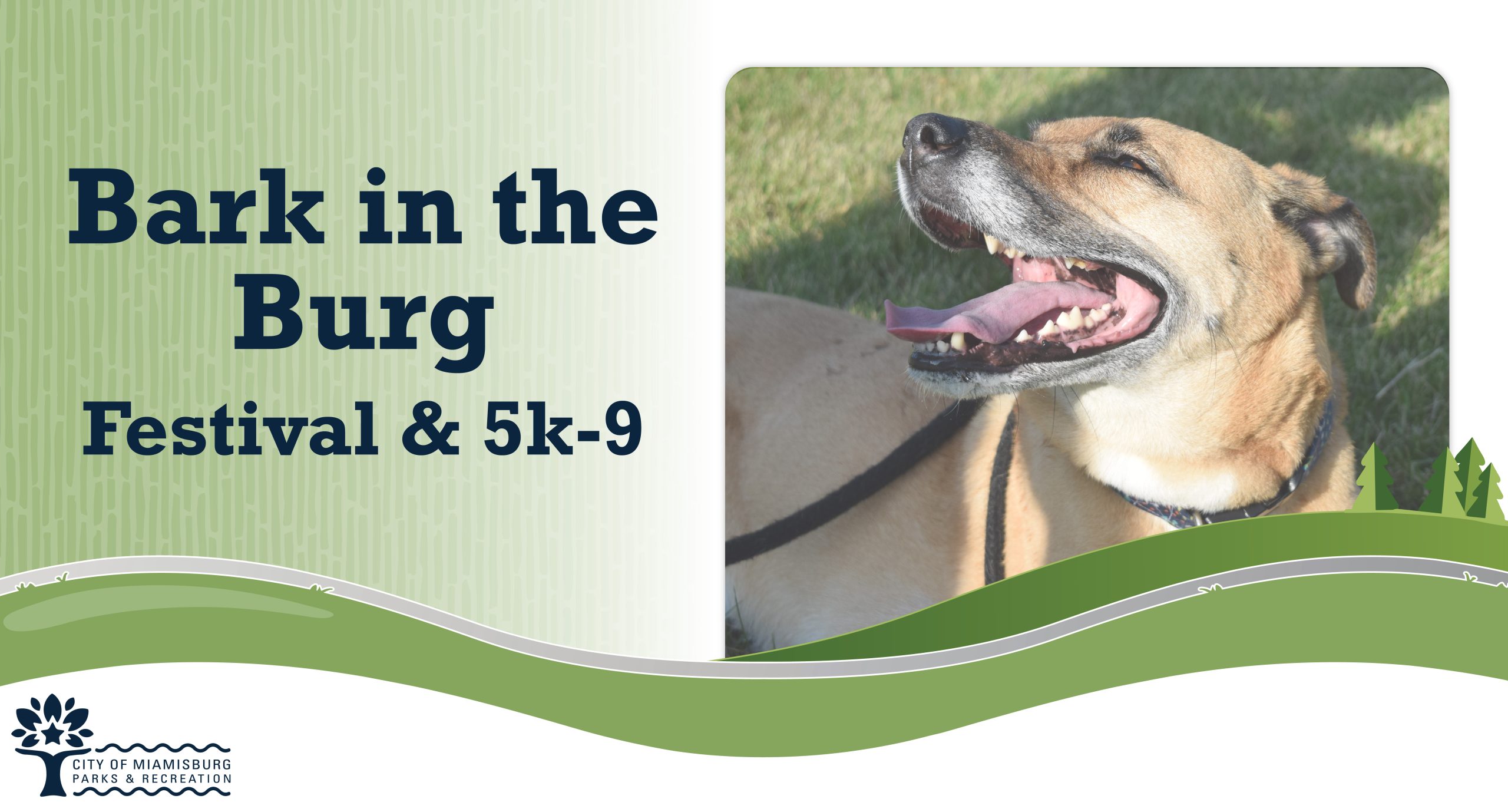 bark in the burg festival and 5k-9