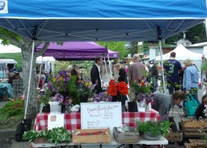 Saturday farmers market