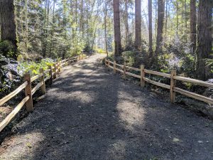 McCormick Village Pathway