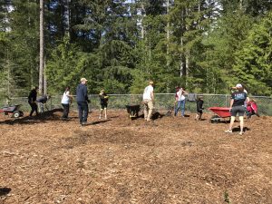 Community Service Day picture - McCormick park dog area