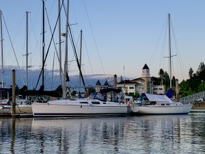 city hall and boats picture