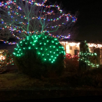 Port of Bremerton Light Display