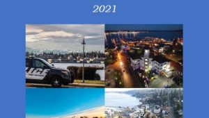 2021 Standards Report