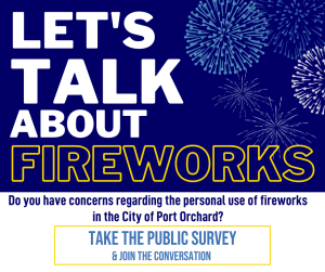 Fireworks Survey