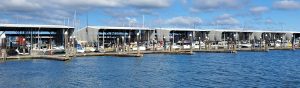 marina and boats