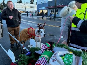 pet parade 3