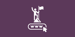 icon showing a person at the top of a mountain, over a website symbol