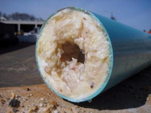 Grease in Sewer Line