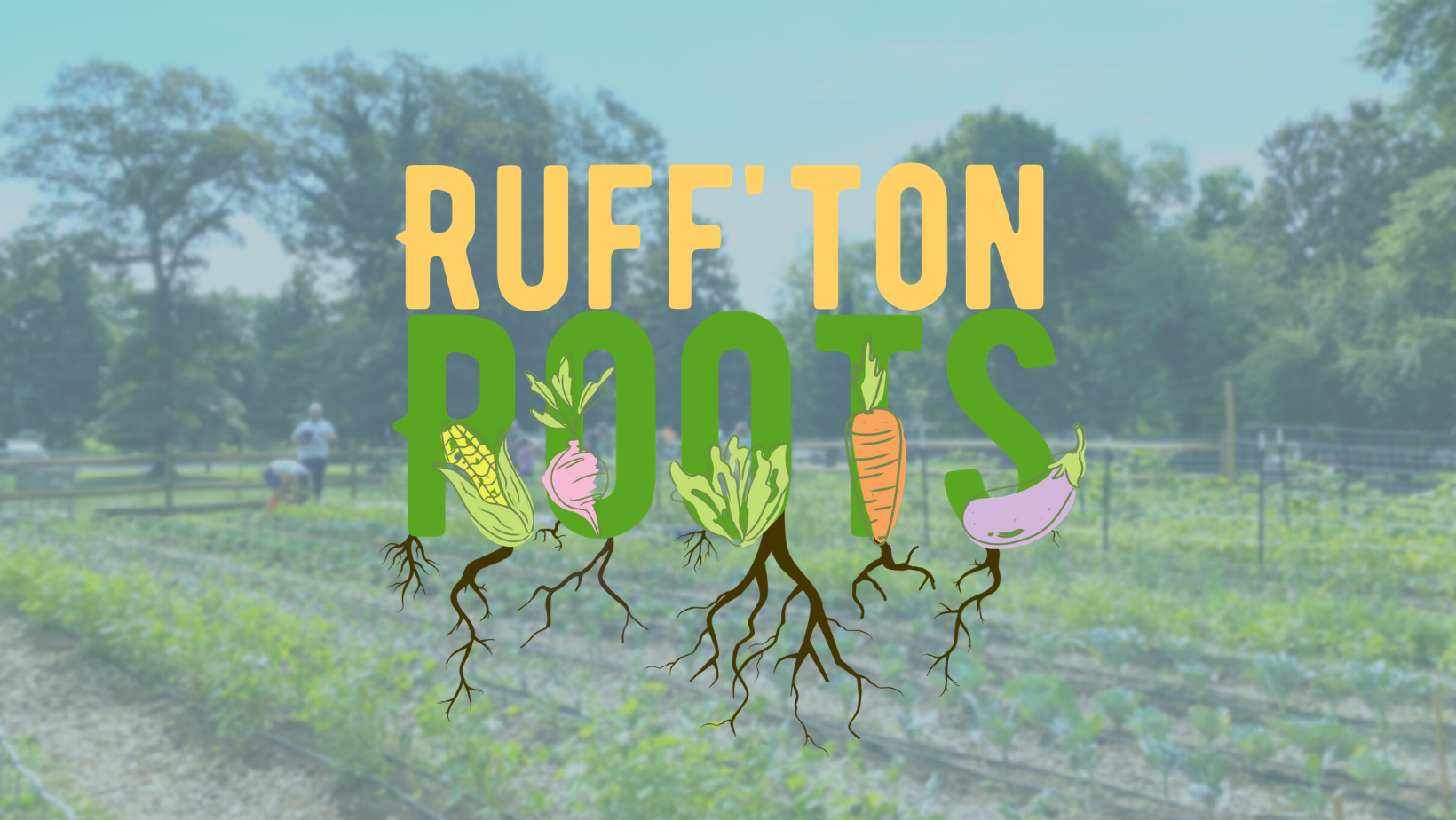 rufftonroots