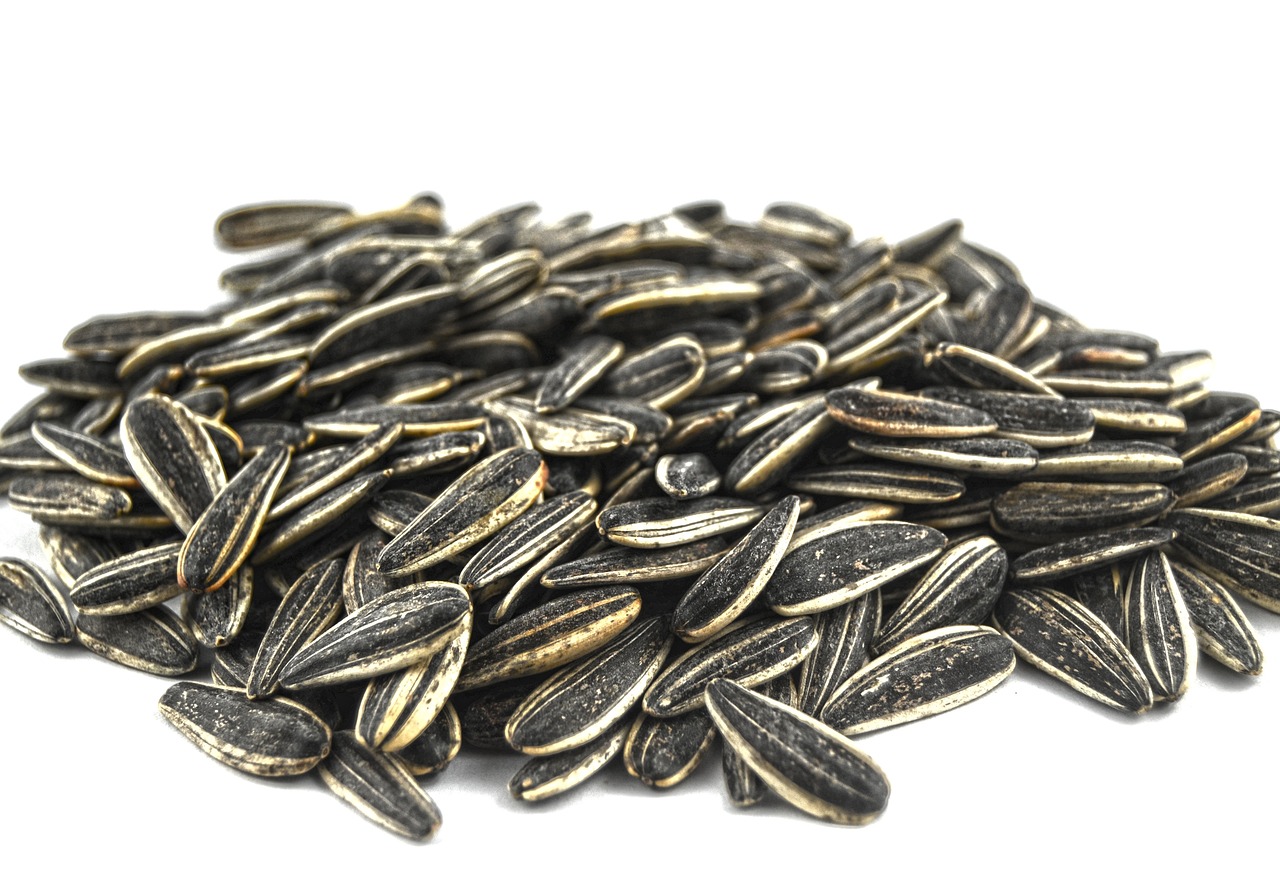 Seeds