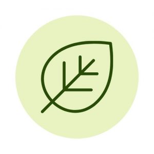 leaf icon