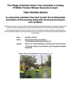Tree-Pruning-Class-announcement