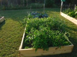 Raised garden bed