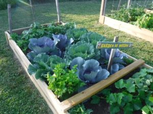 Raised garden bed