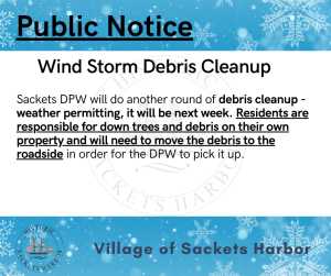 Debris Clean up - Flyer