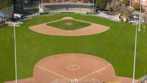 Albert Park Field One