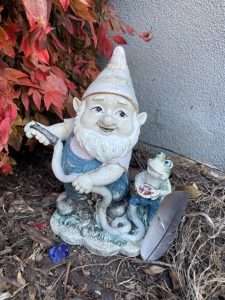 gnome 