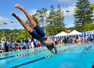 Diving in the Terra Linda Pool