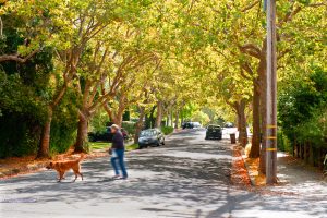 San Rafael street scene