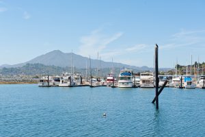 Loch Lomond Marina