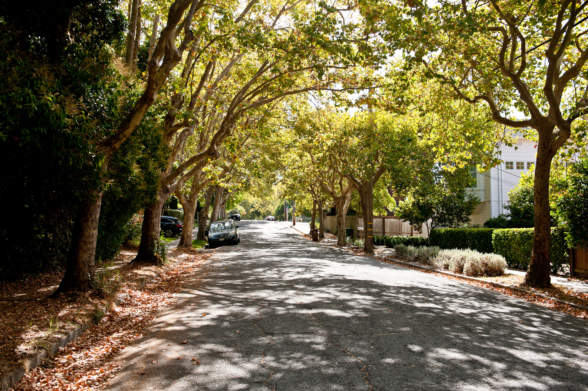 street scene