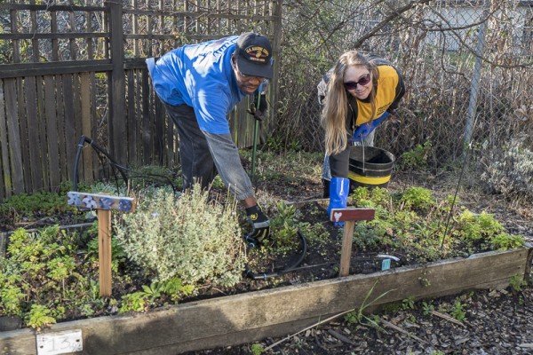 Cleaning up the Davidson Middle School garden