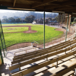 Albert Park Baseball Field