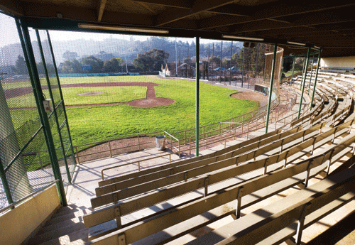 Albert Park Baseball Field