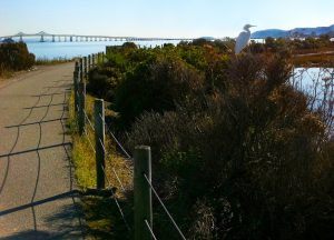 Shoreline Park