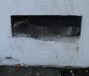 damaged foundation screen